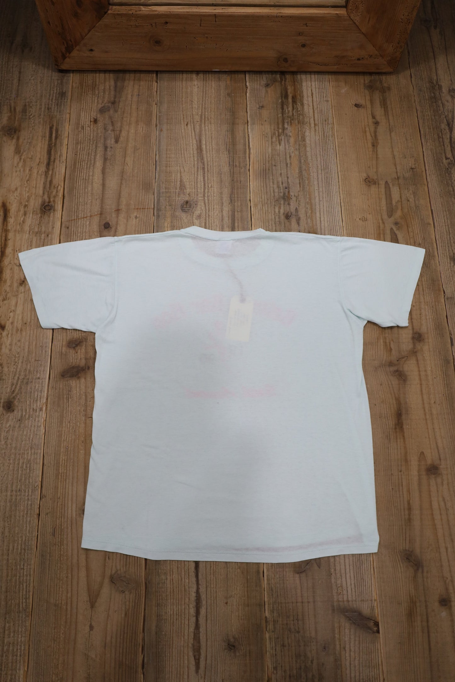 E301 / 1990's JERZEES print tee