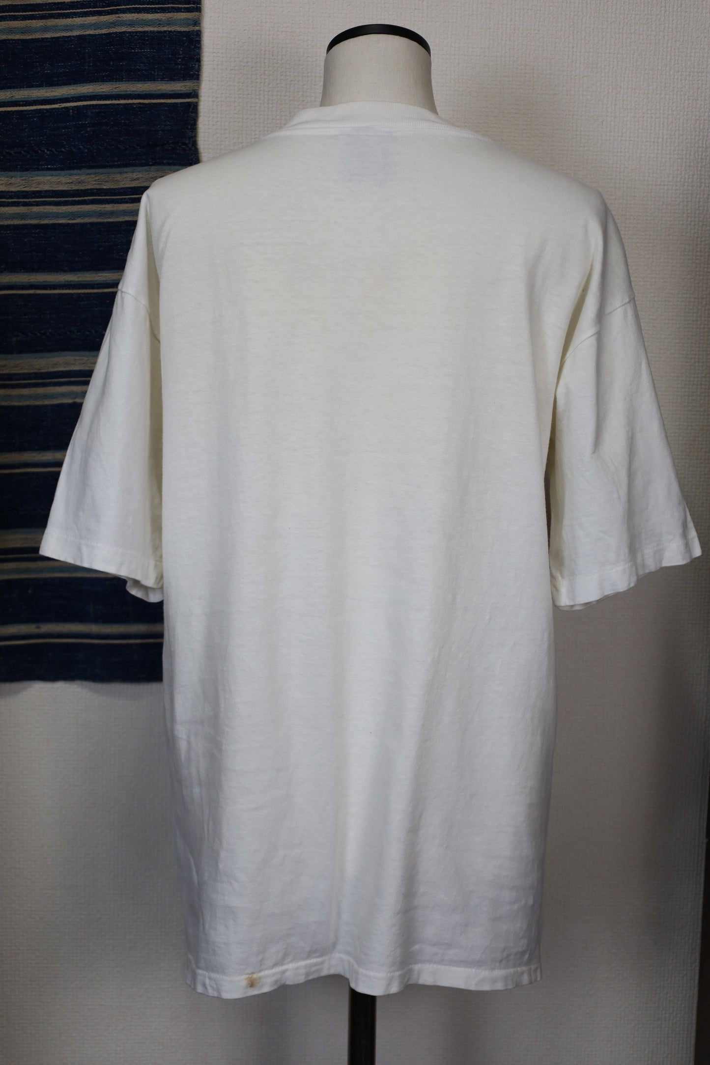 152 / 1990's ONEITA LAGUNA HILSS tee