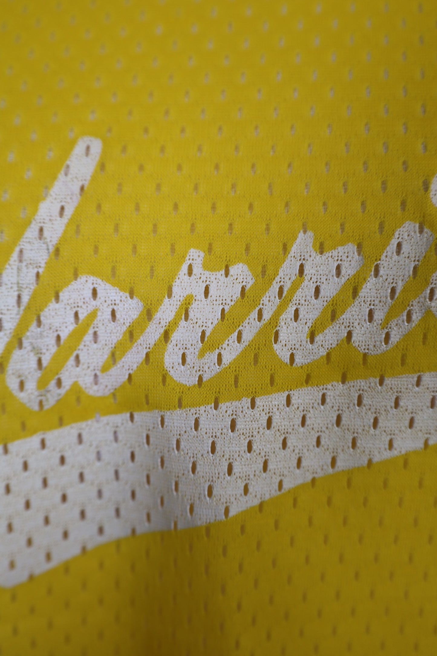 E222 / 1990's OLD CALIFORNIA flesh MESH TANKTOP