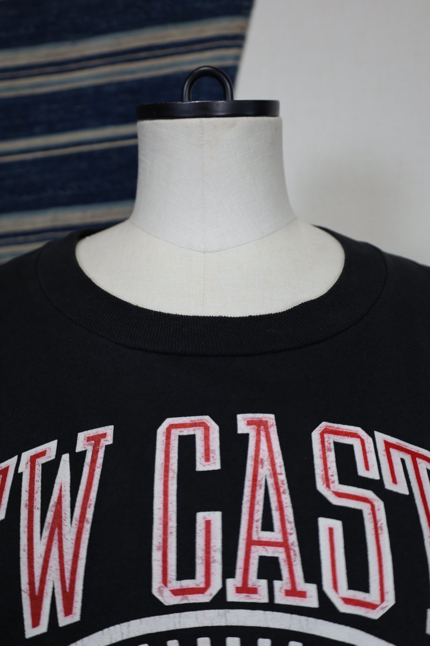 Z172 / 1990's JERZEES print tee