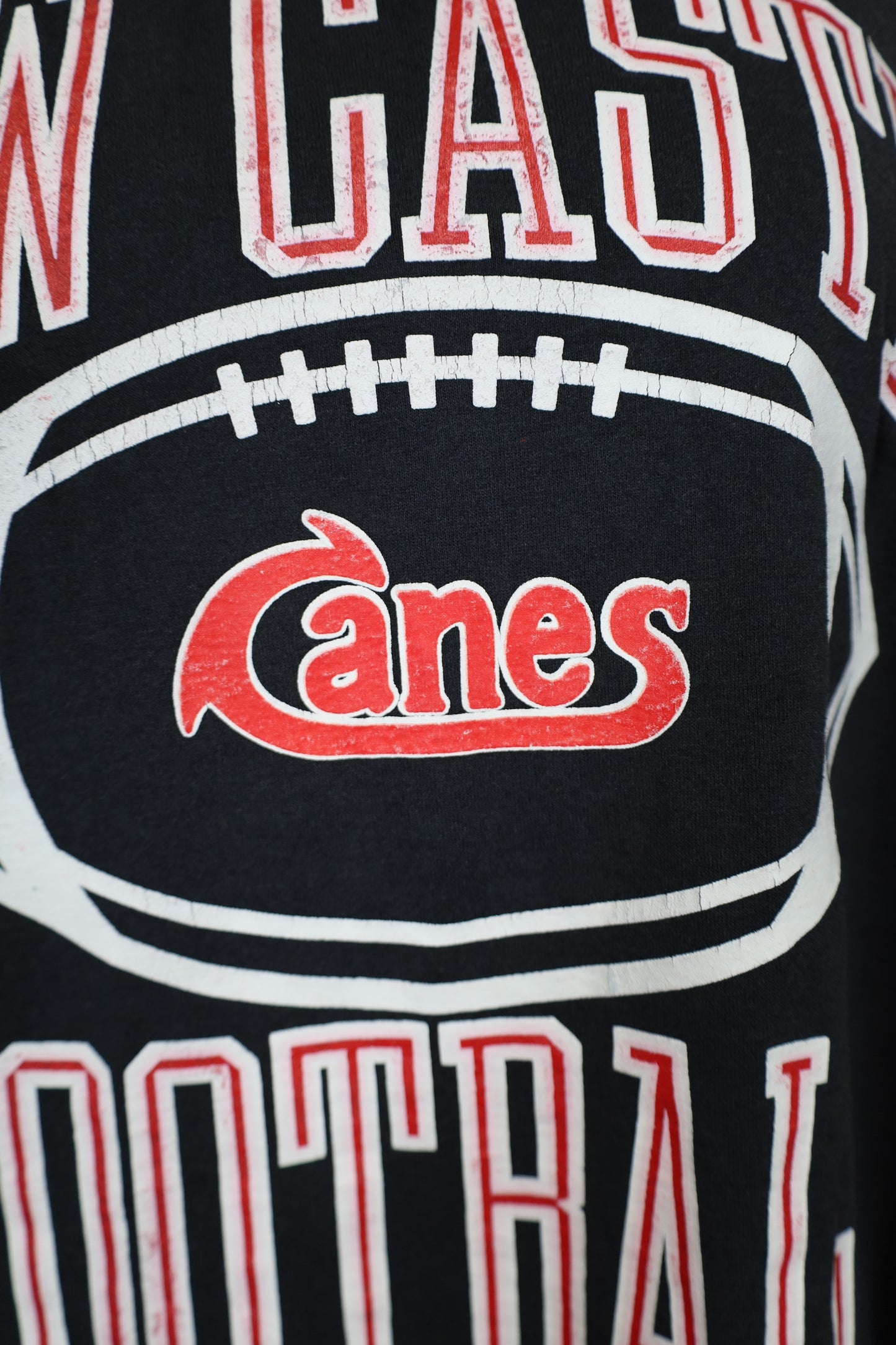 Z172 / 1990's JERZEES print tee