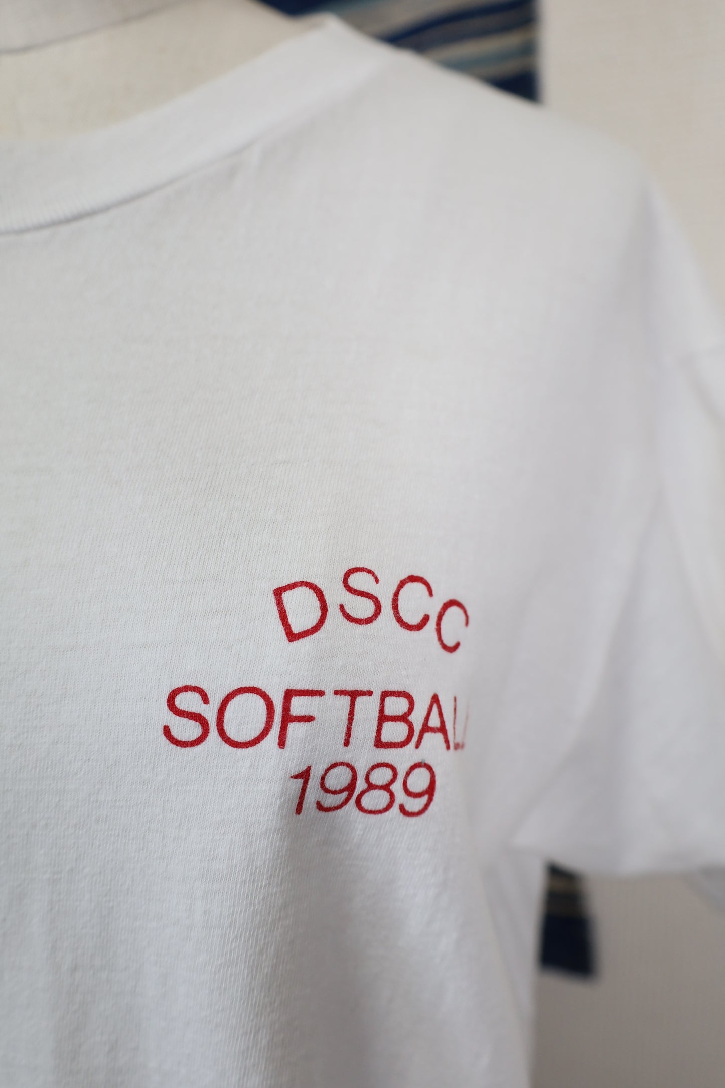 B527 / 1980's OLD Hanes DSCC SOFTBALL Print T-Shirt