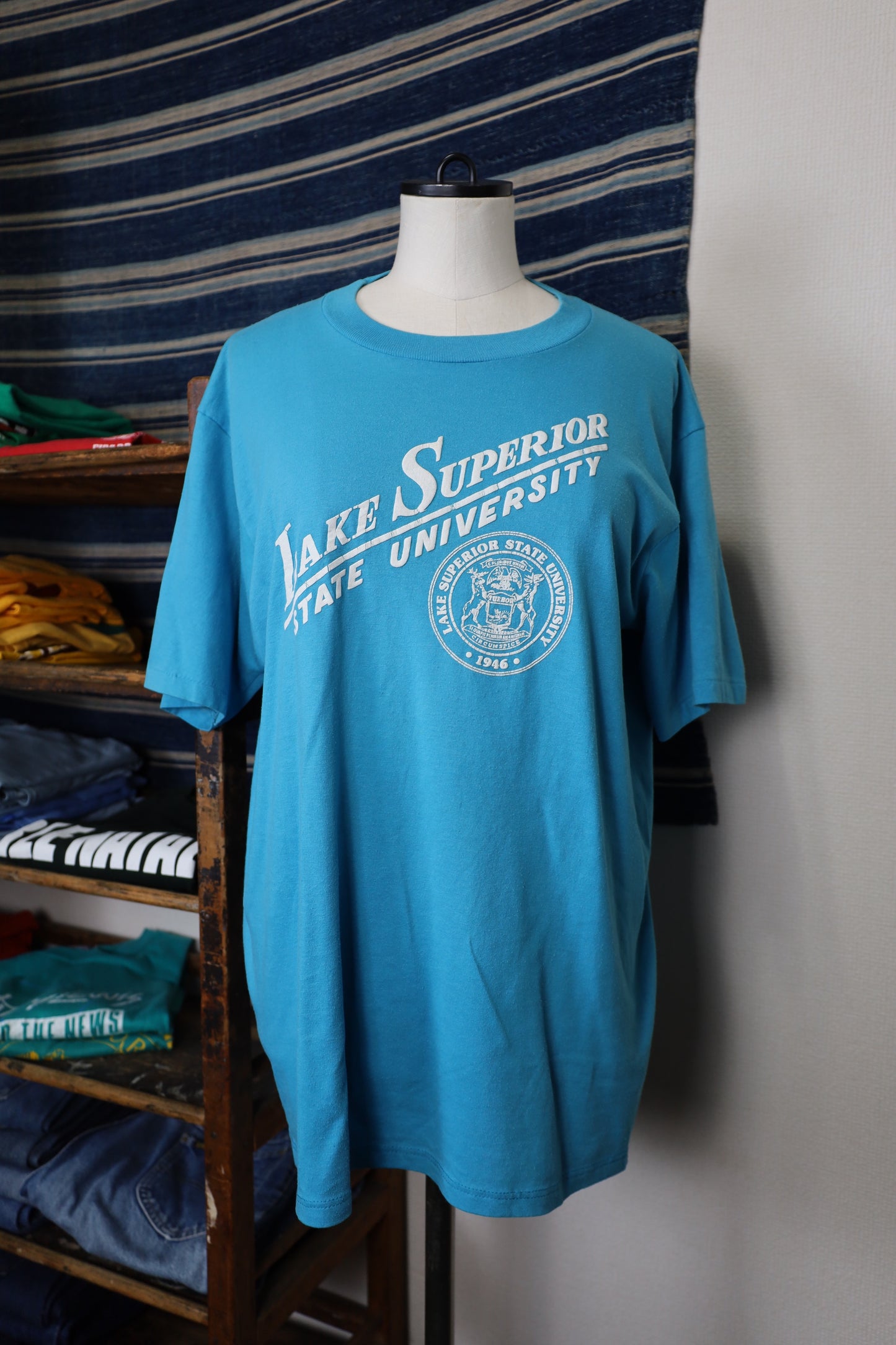 B479 / 1990's Velvasheen college logo tee