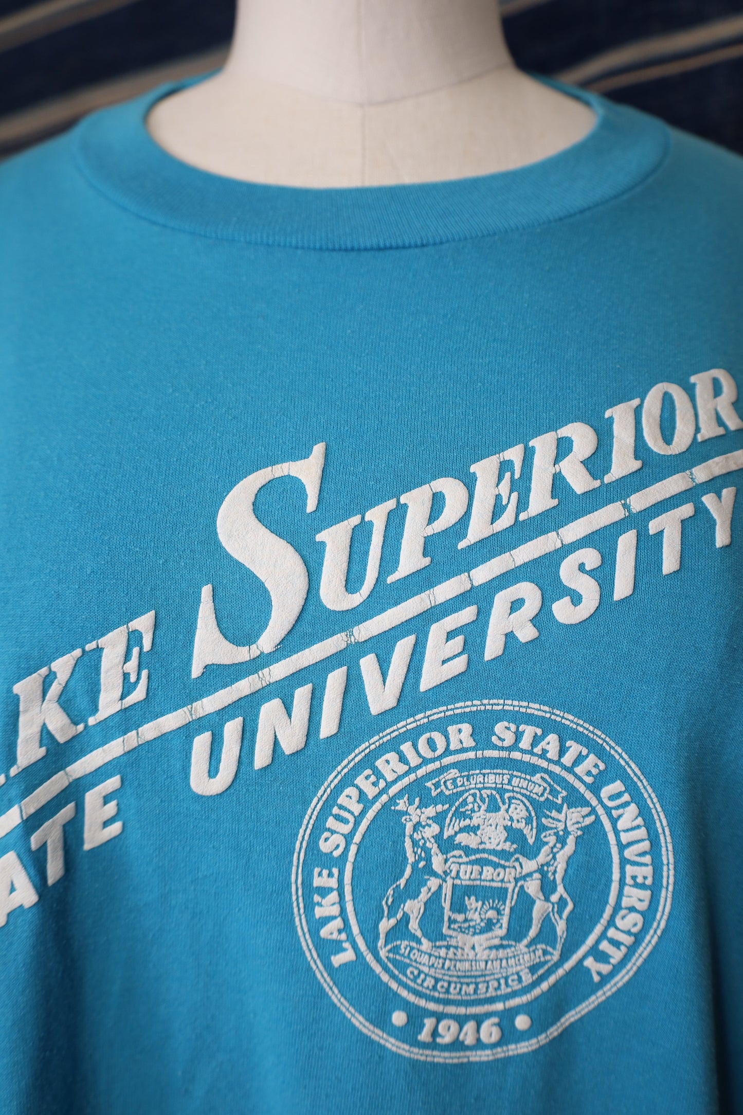 B479 / 1990's Velvasheen college logo tee
