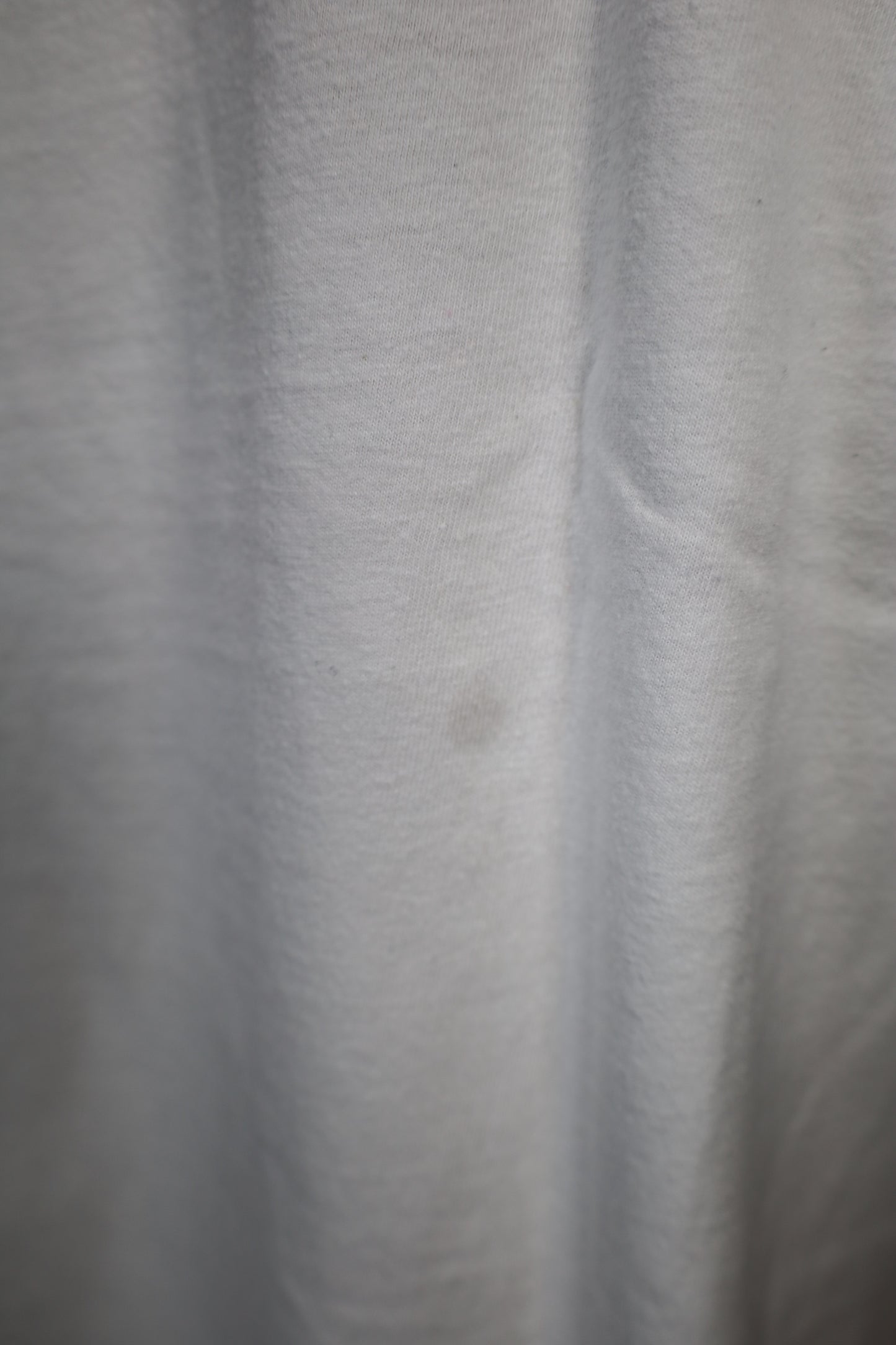 Z615 / Champion plain tee