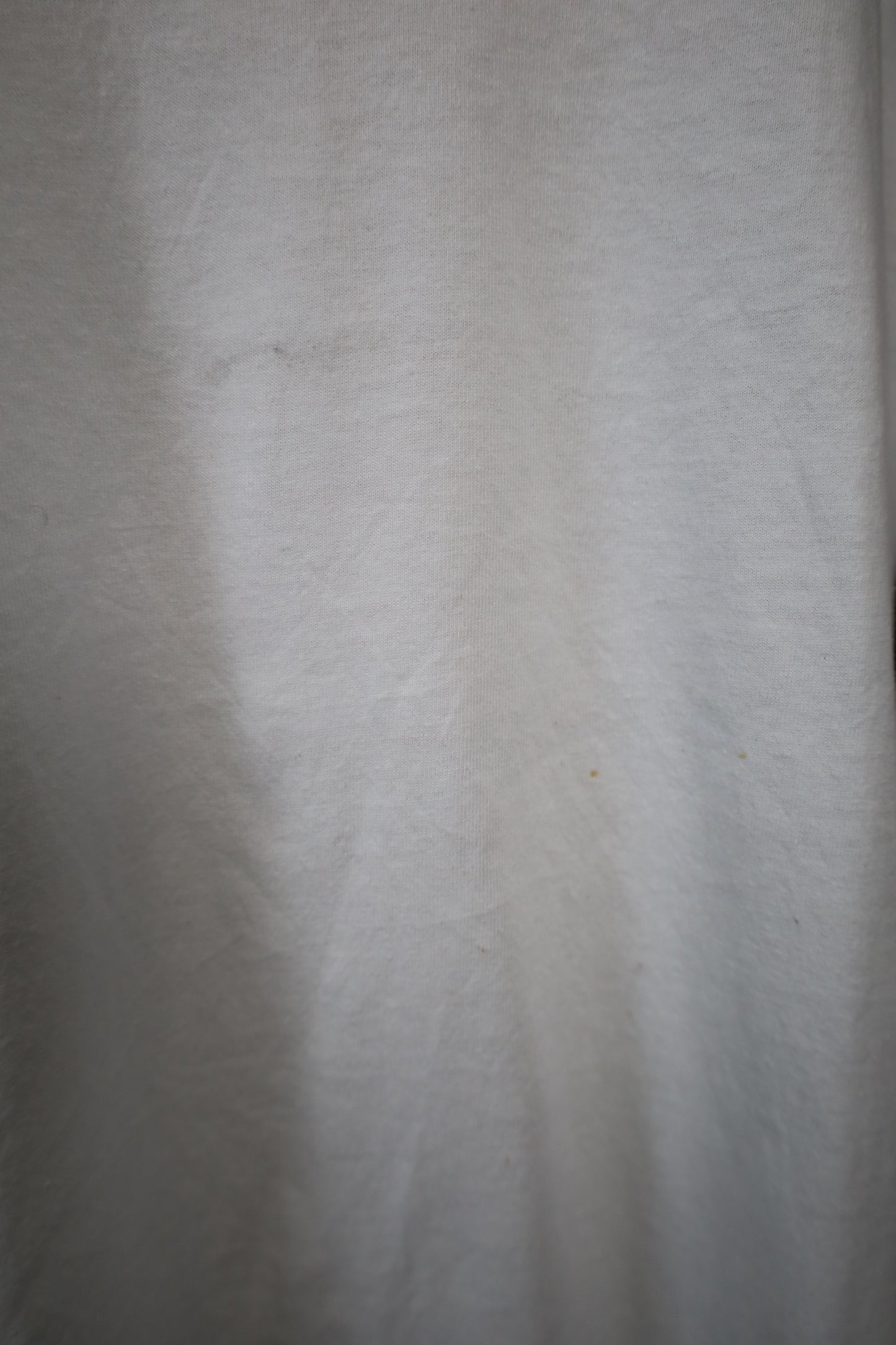 B502 / 1990's Hanes the river plaza tee