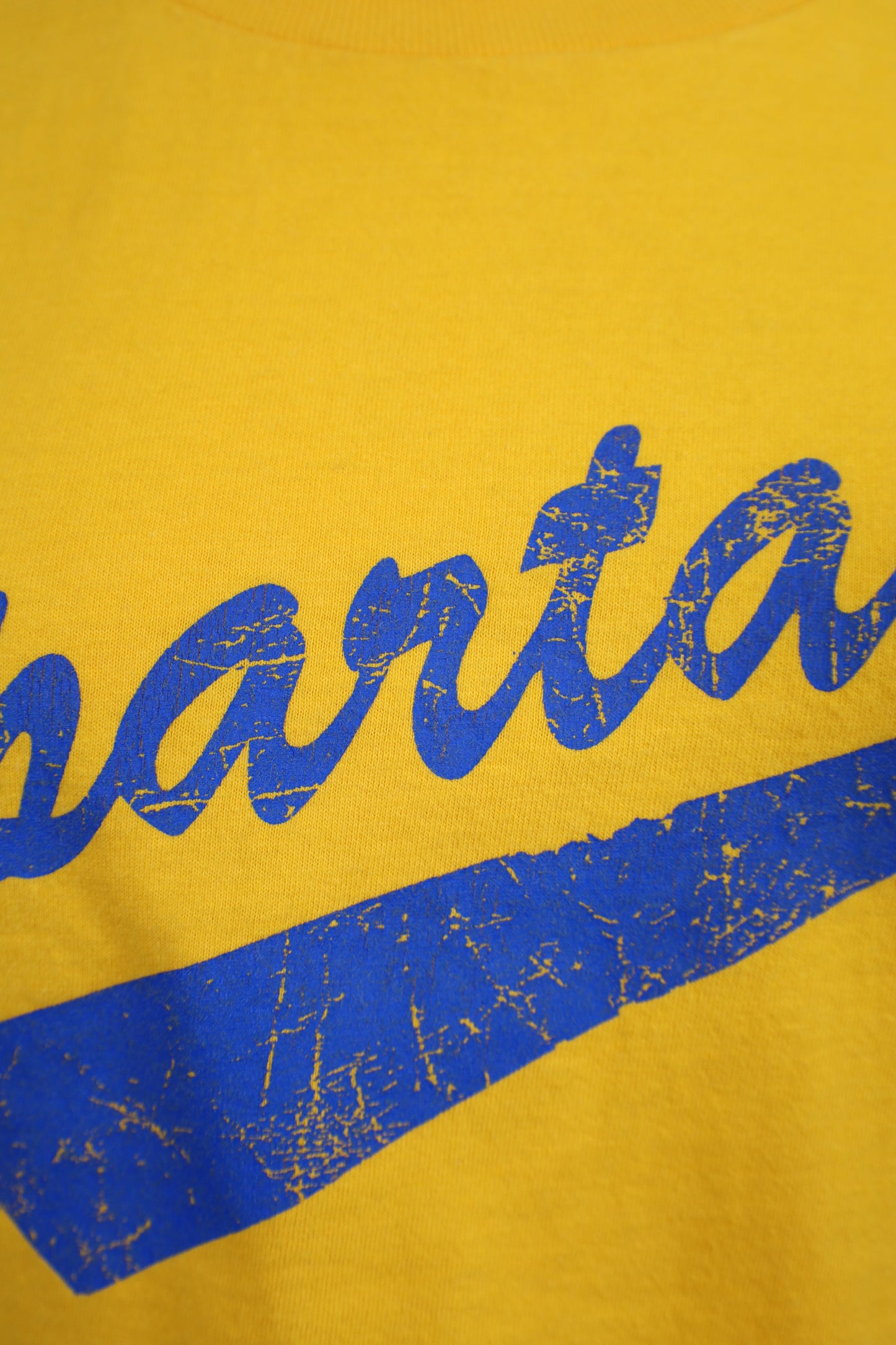 G73 / 1990's TULTEX print tee