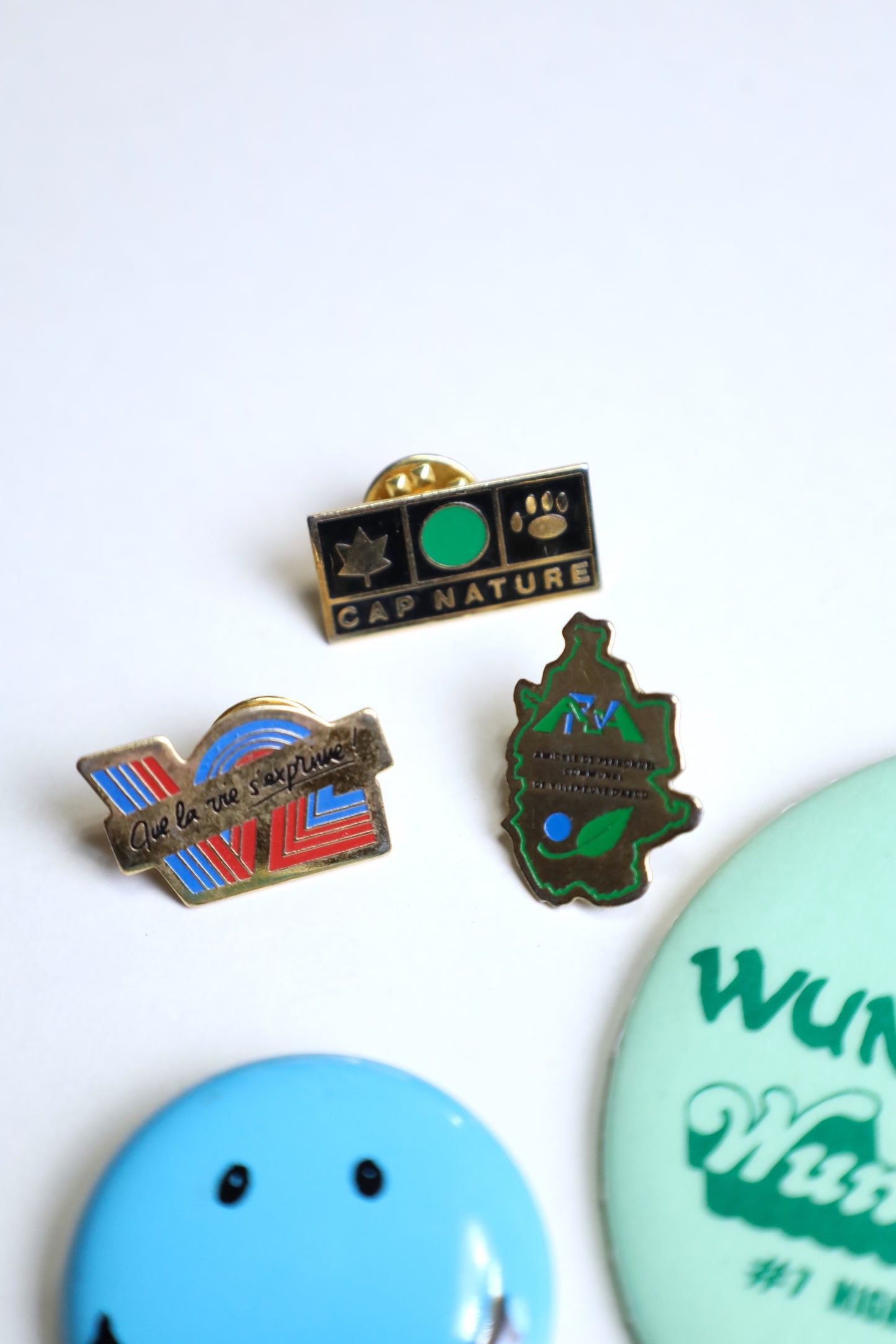 4 / pinback button & pisn set