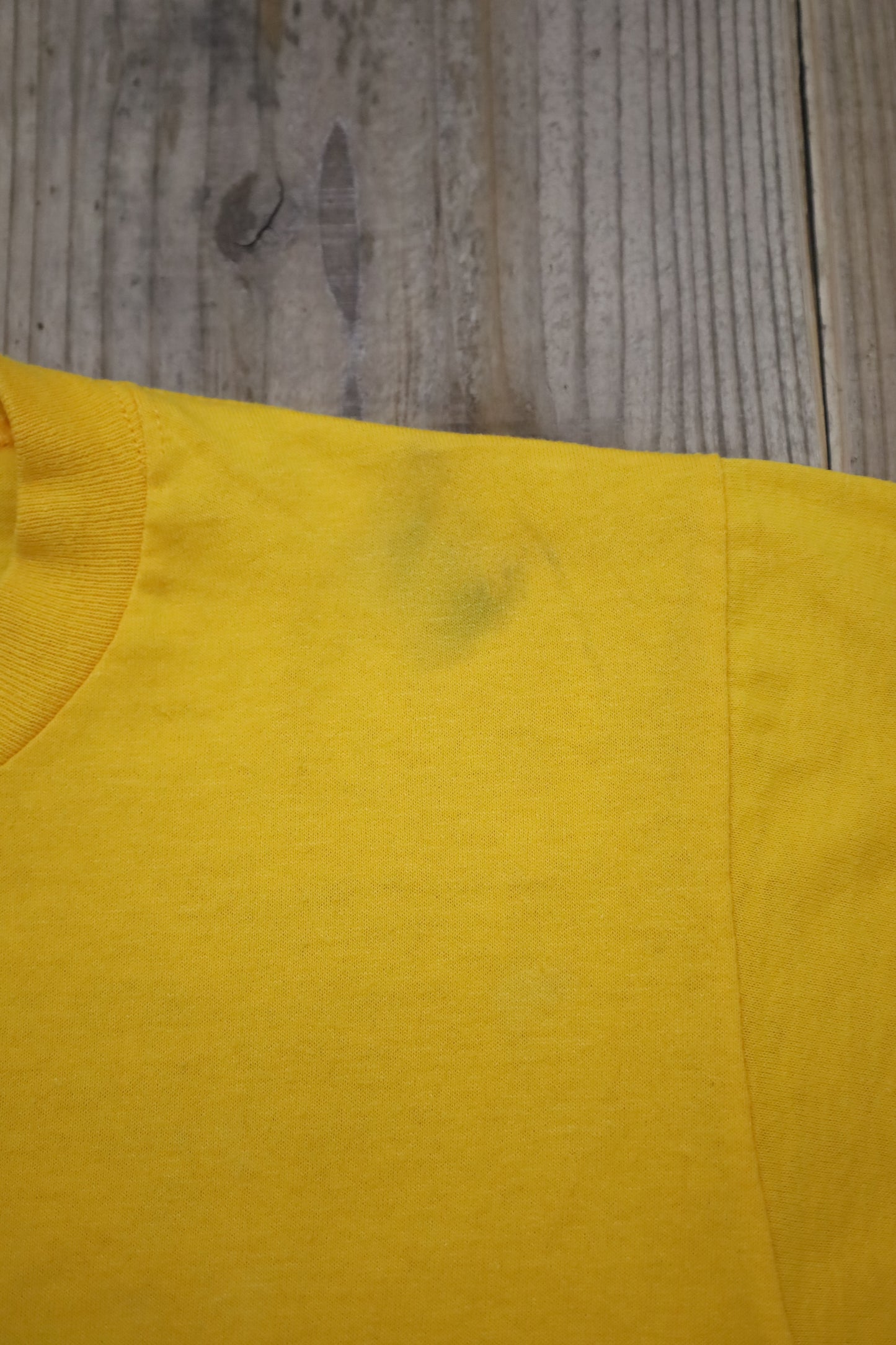 B861 / 1990's JERZEES print tee