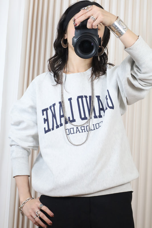 J43 / early2000's PRO-WEAVE GRAND LAKE print sweat