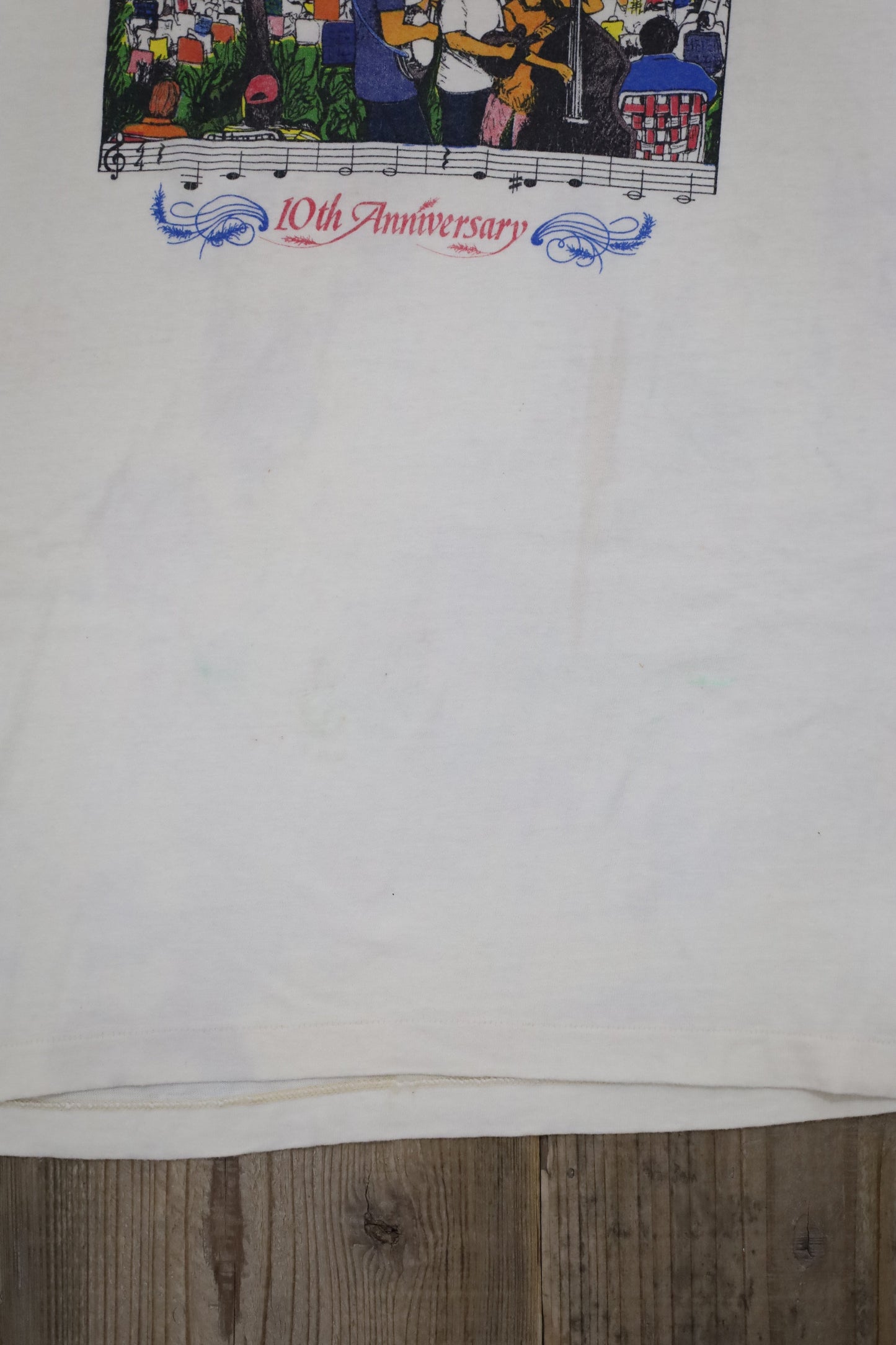 C904 / 1990's ONEITA Blue grass festival tee