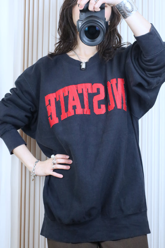 J66 / early2000's PRO-WEAVE NC STATE sweat