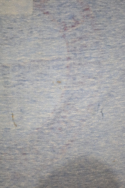 E305 / 1970's Champion Ringer tee