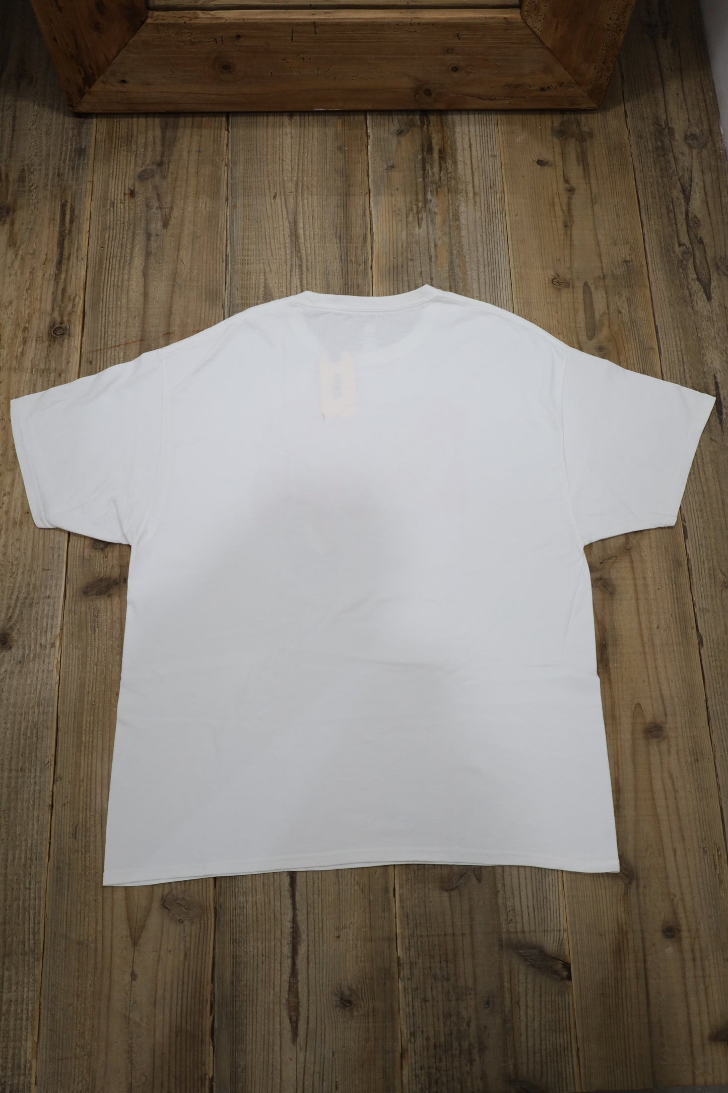 A880 /  HANES print tee