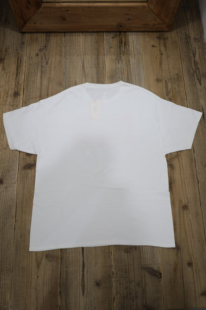 A880 /  HANES print tee