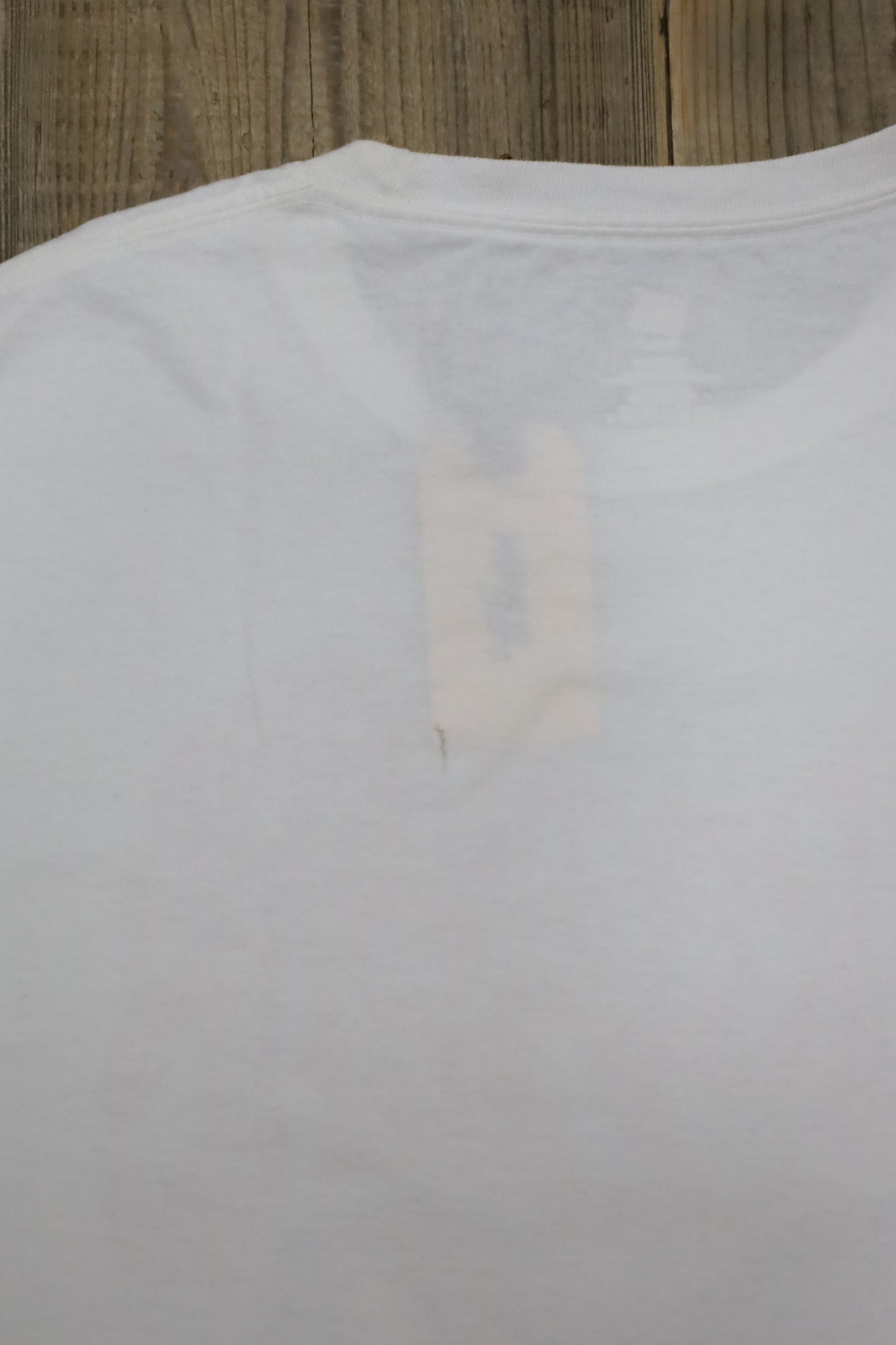 A880 /  HANES print tee