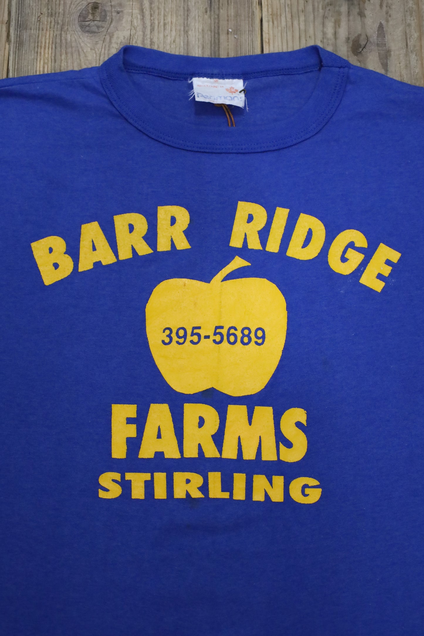 E341 / 1990's Penmans print tee