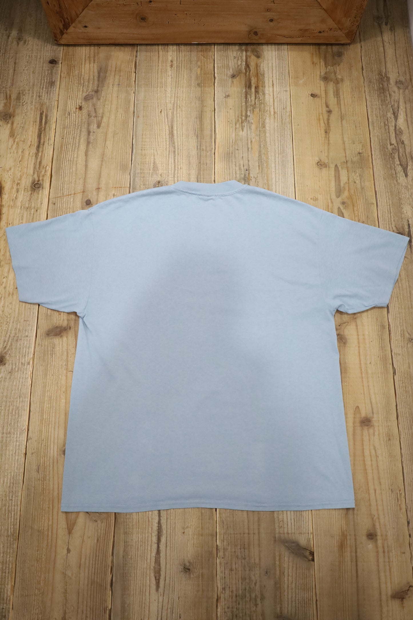 Z833 / 1990's OLD Hanes Bear Print T-Shirt