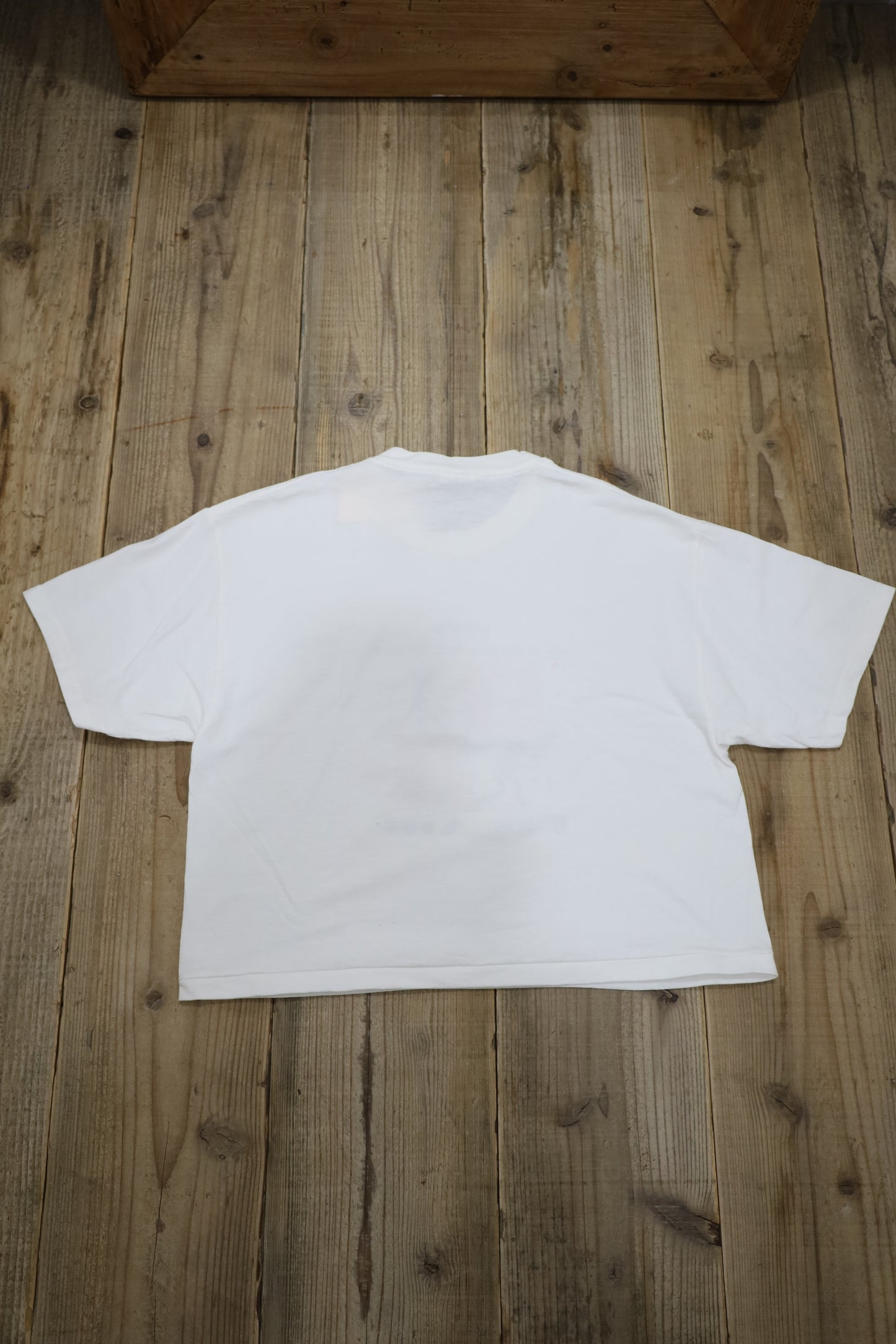 G61 / 1990's OLD Hanes Ocean Village Print T-shirt
