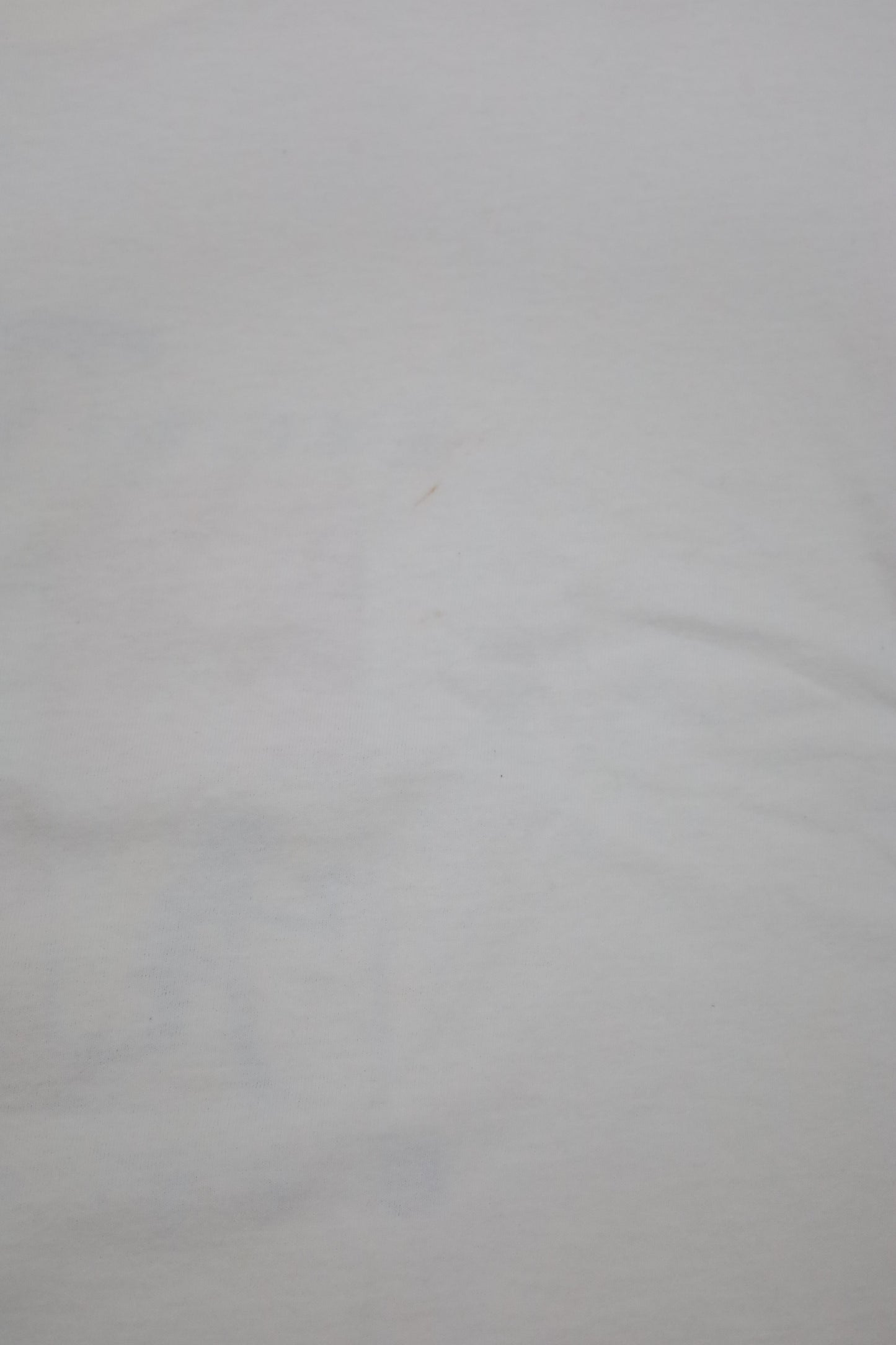 G61 / 1990's OLD Hanes Ocean Village Print T-shirt