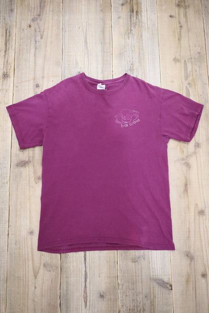 E523 / GILDAN early 2000's Print Tee bar crawi
