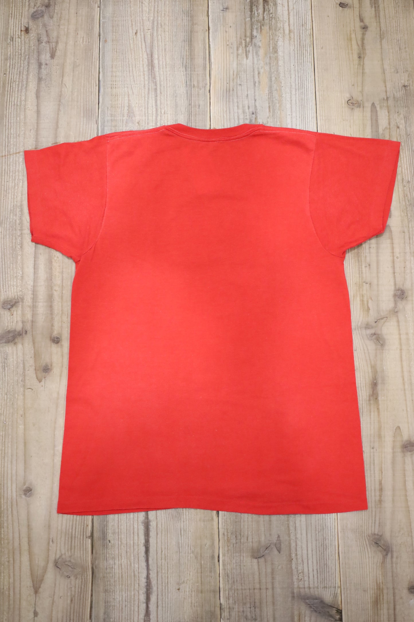 E601 / 1980's SCREEN STARS Print T-Shirt