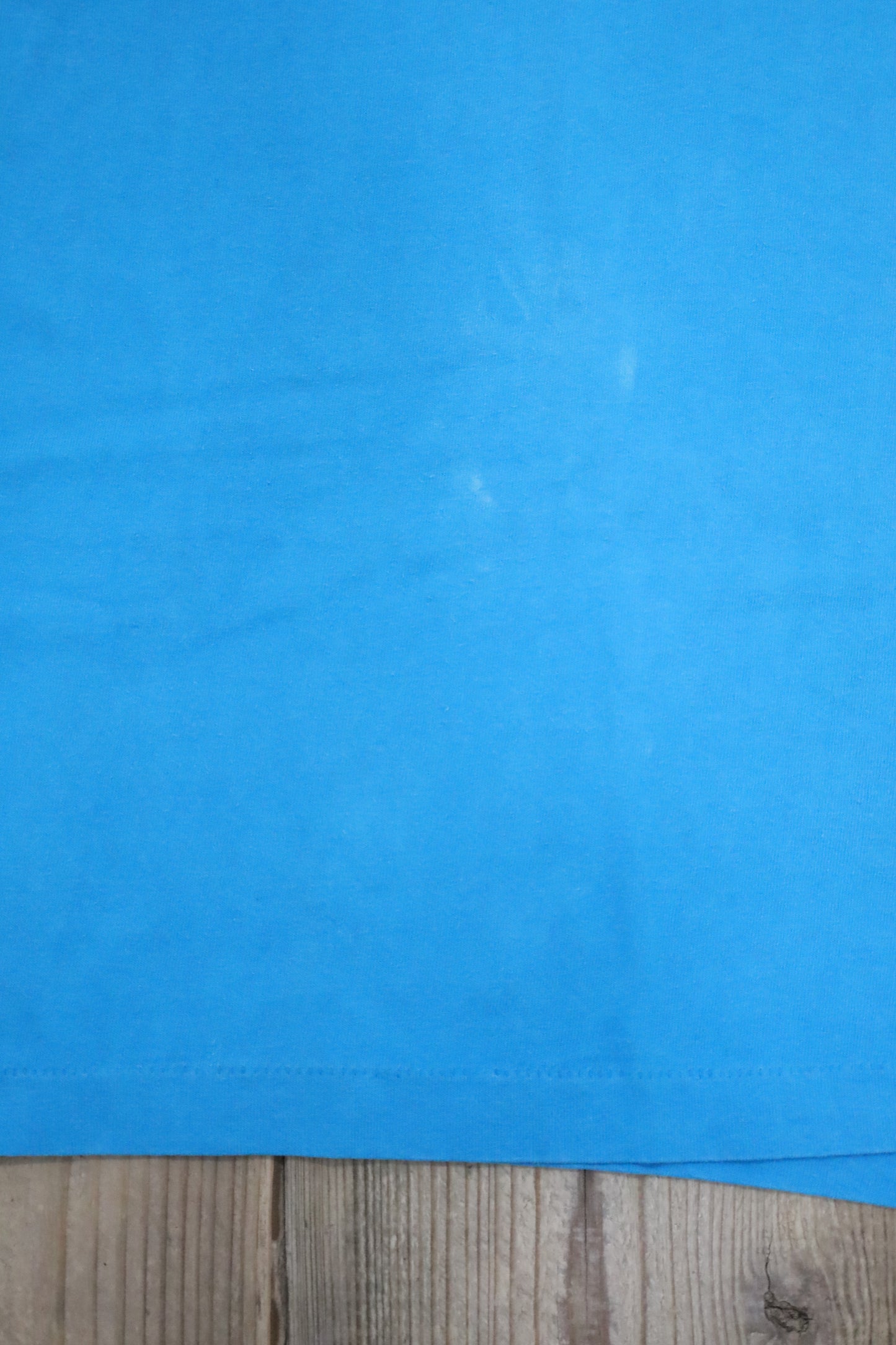 Z839 / 1990's FRUITS OF THE LOOM ALASKA tee