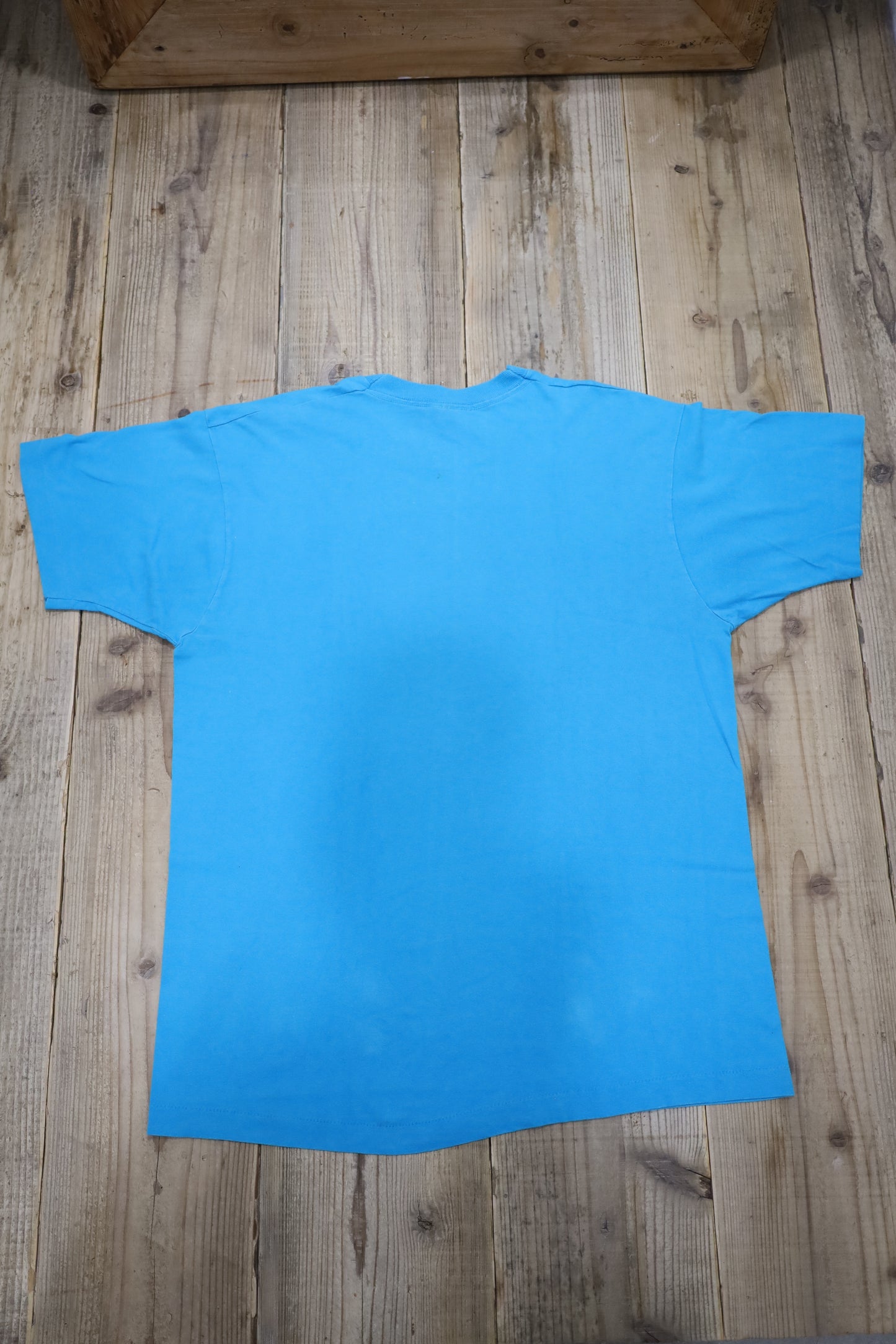 Z839 / 1990's FRUITS OF THE LOOM ALASKA tee
