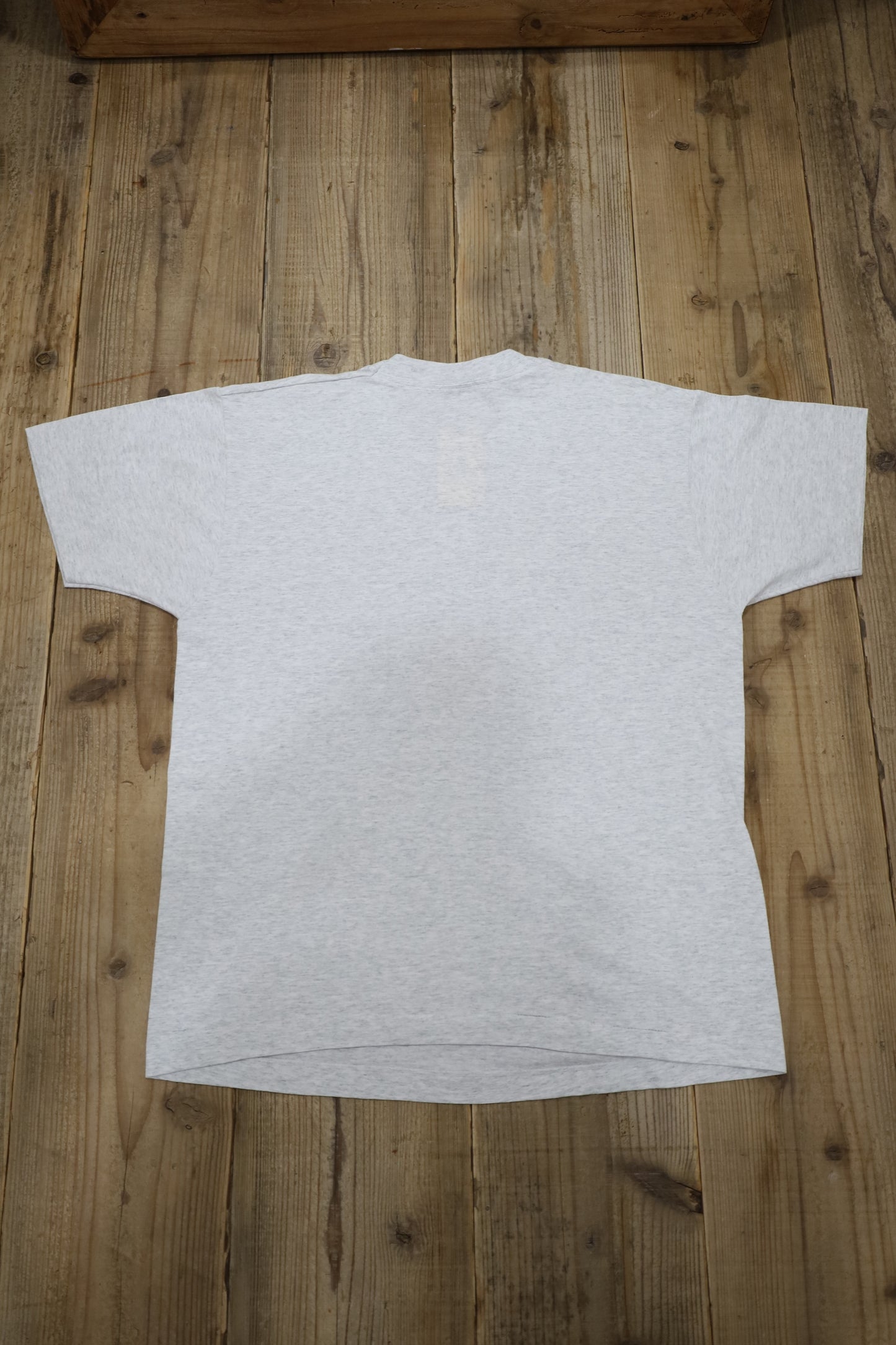 E335 / 1990's FRUITS OF THE LOOM print tee