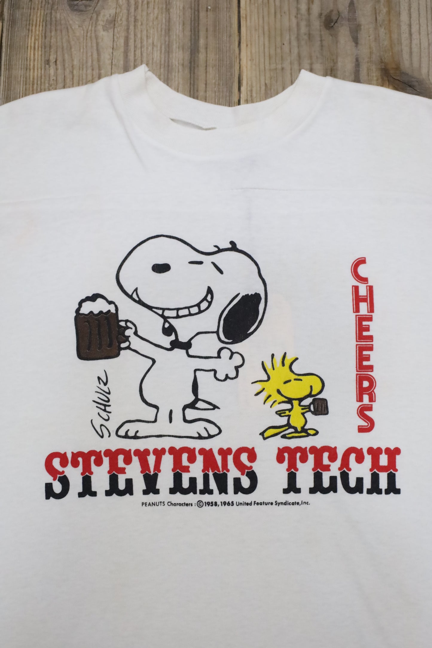 E778 / 1970's ARTEX SNOOPY football tee