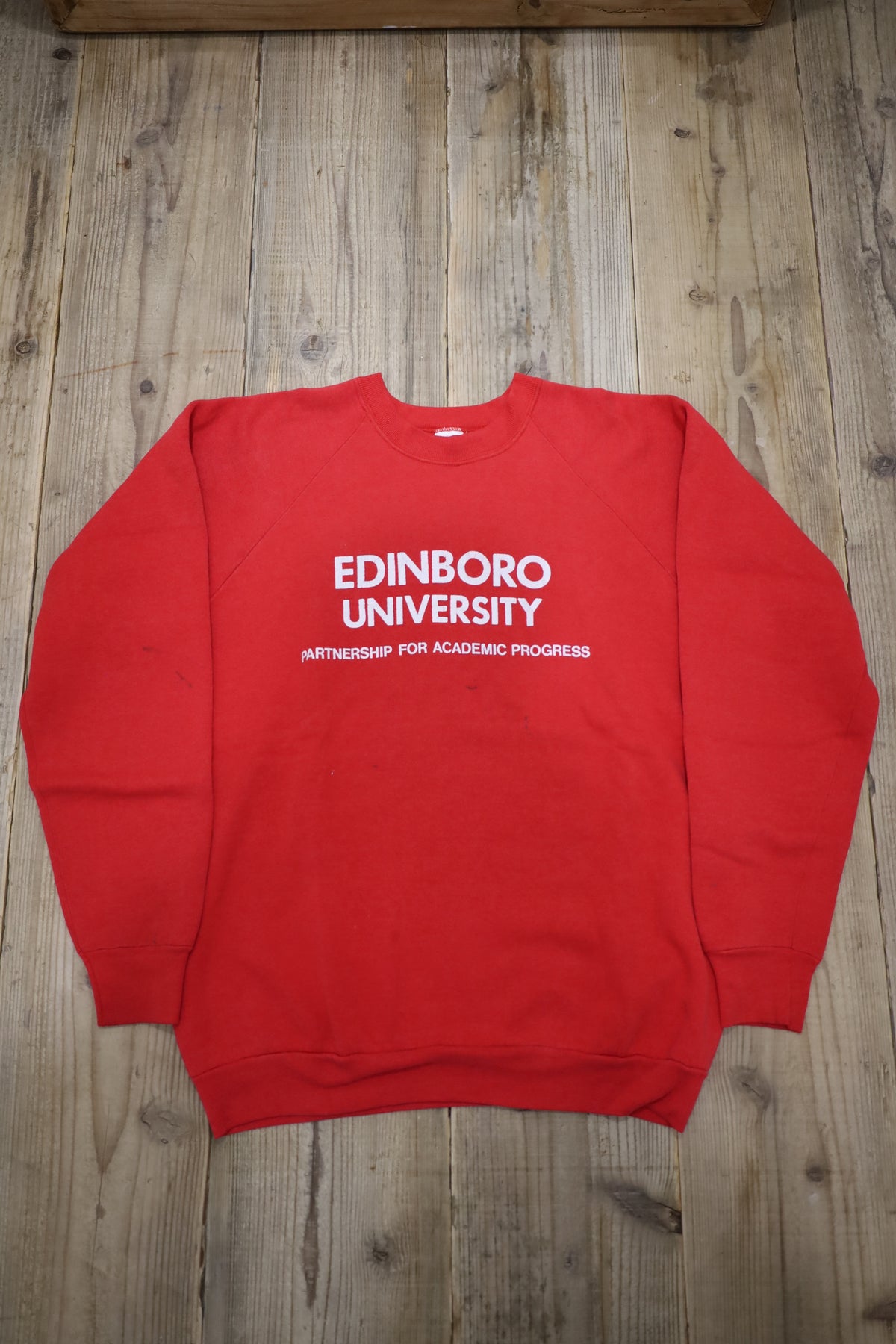 B1040 / 1990's FRUITS OF THE LOOM print sweat