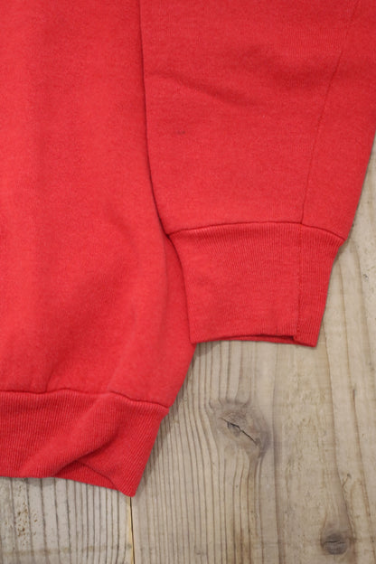 B1040 / 1990's FRUITS OF THE LOOM print sweat