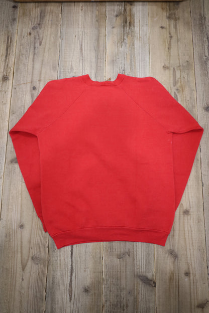 B1040 / 1990's FRUITS OF THE LOOM print sweat