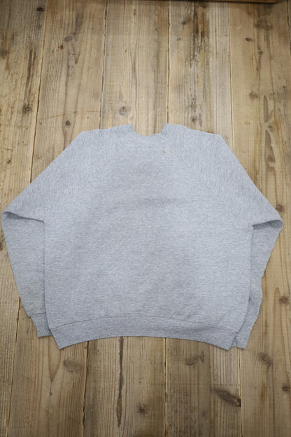 Z668 / 1990's FRUIT OF THE LOOM Plain sweat