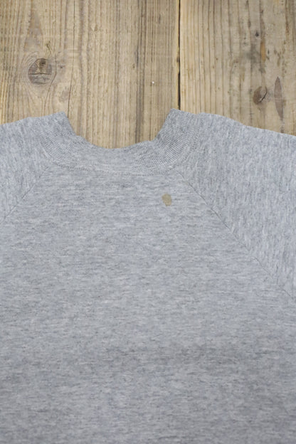 Z668 / 1990's FRUIT OF THE LOOM Plain sweat