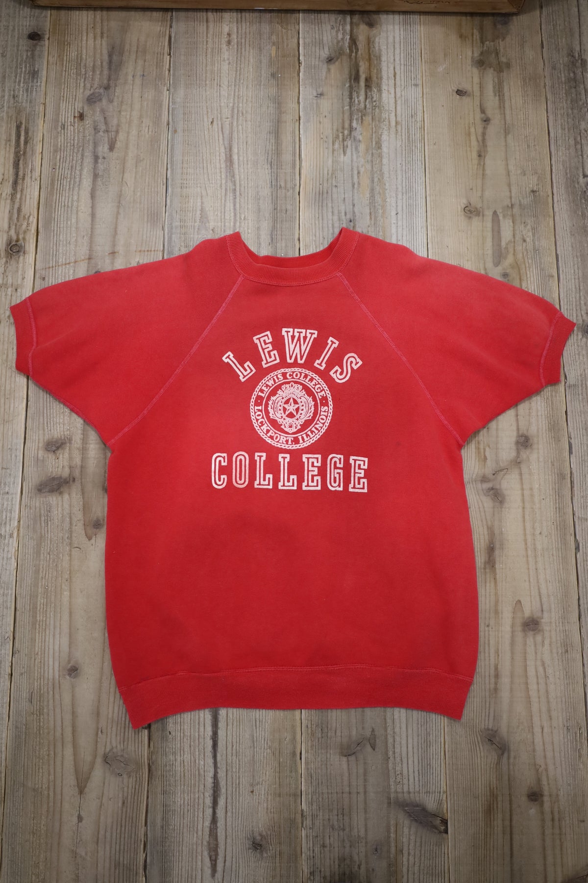 14 / 1960's UNKNOWN LEWIS college short sleeve sweat