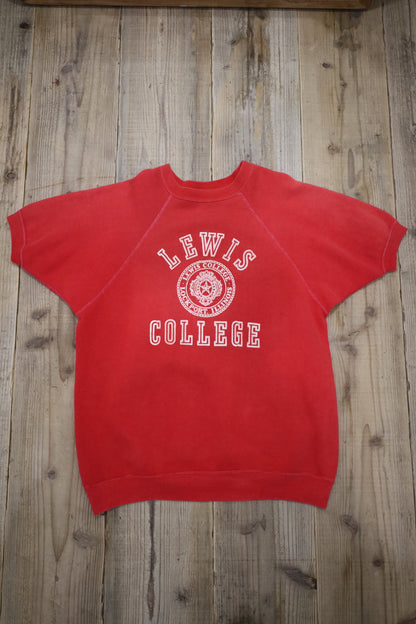 14 / 1960's UNKNOWN LEWIS college short sleeve sweat