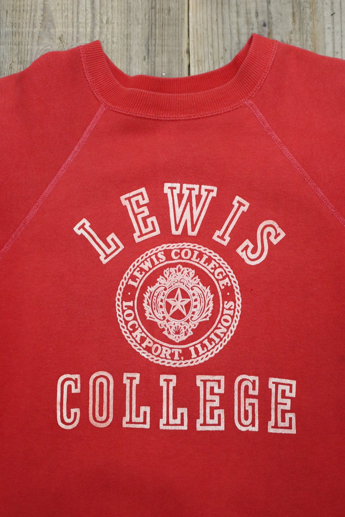 14 / 1960's UNKNOWN LEWIS college short sleeve sweat