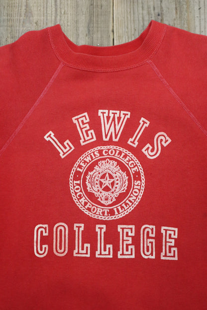 14 / 1960's UNKNOWN LEWIS college short sleeve sweat