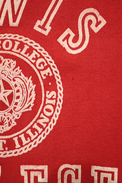 14 / 1960's UNKNOWN LEWIS college short sleeve sweat