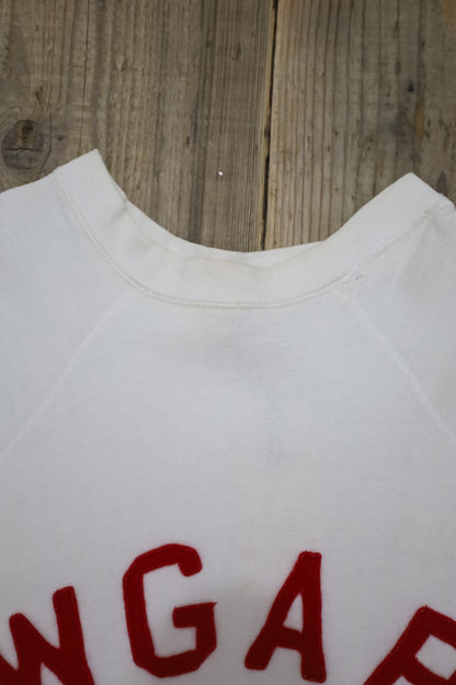 E903 / 1960's B.V.D AGAR short sleeve sweat