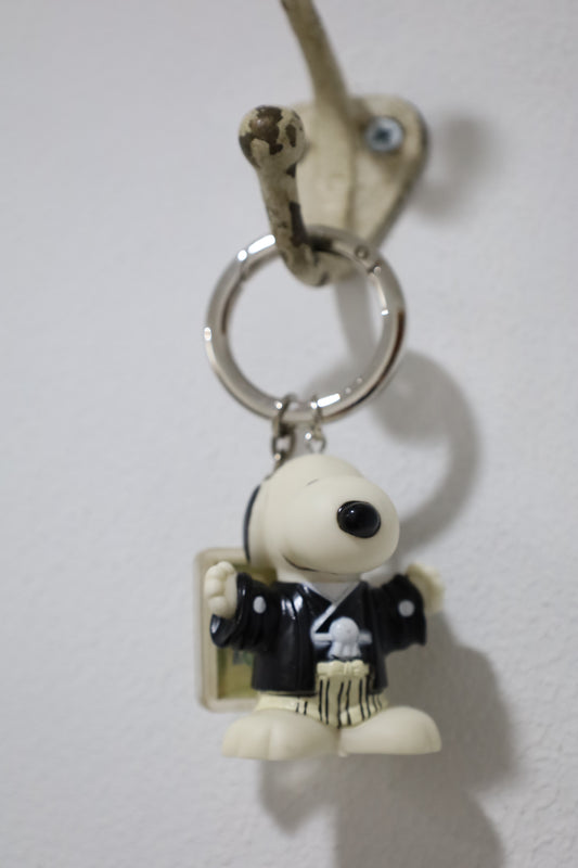 15 / remake key SNOOPY