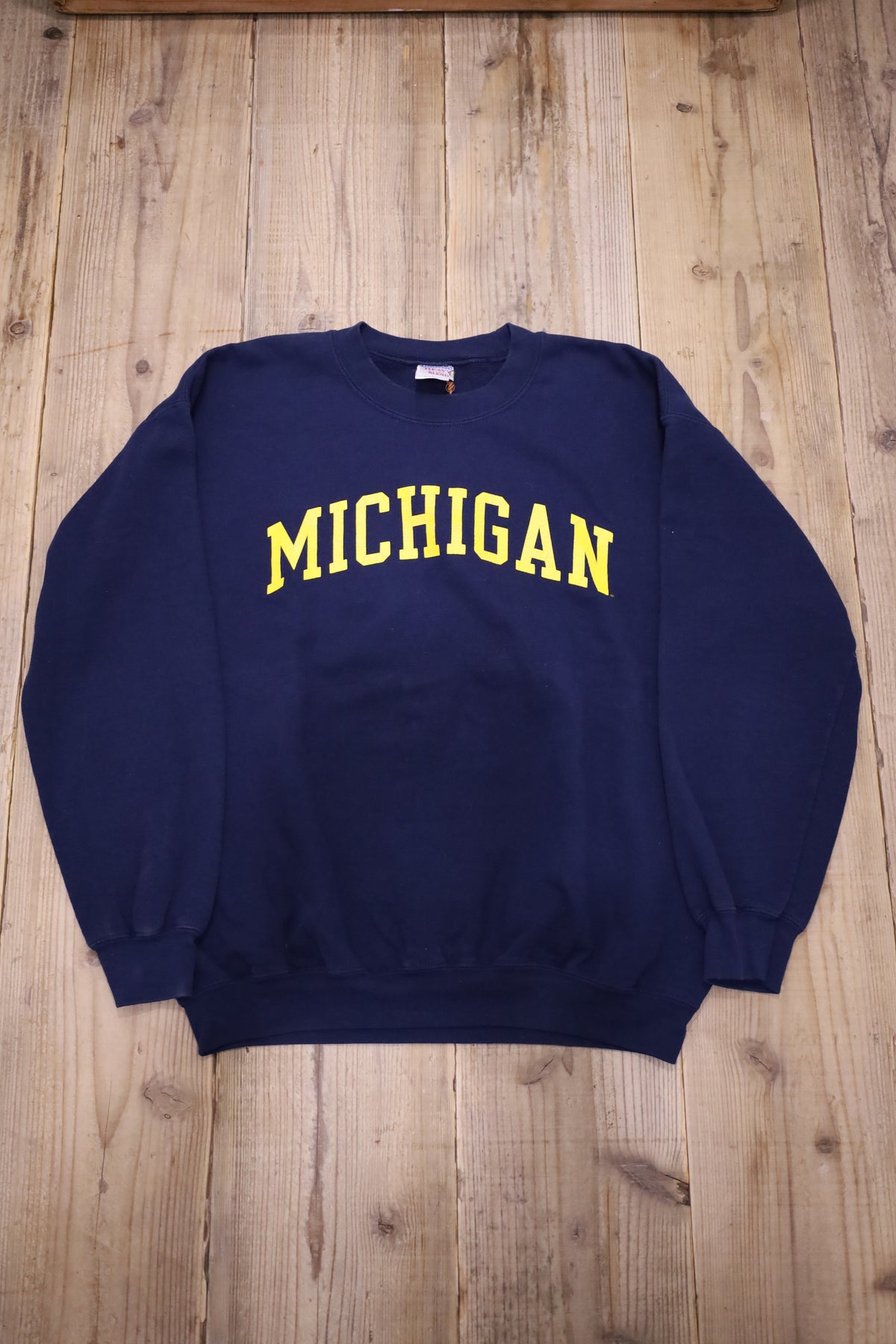 E301 / early2000's GILDAN MICHIGAN sweat