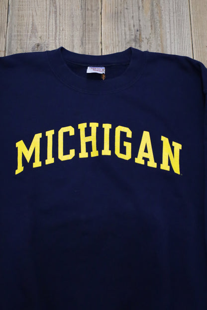 E301 / early2000's GILDAN MICHIGAN sweat