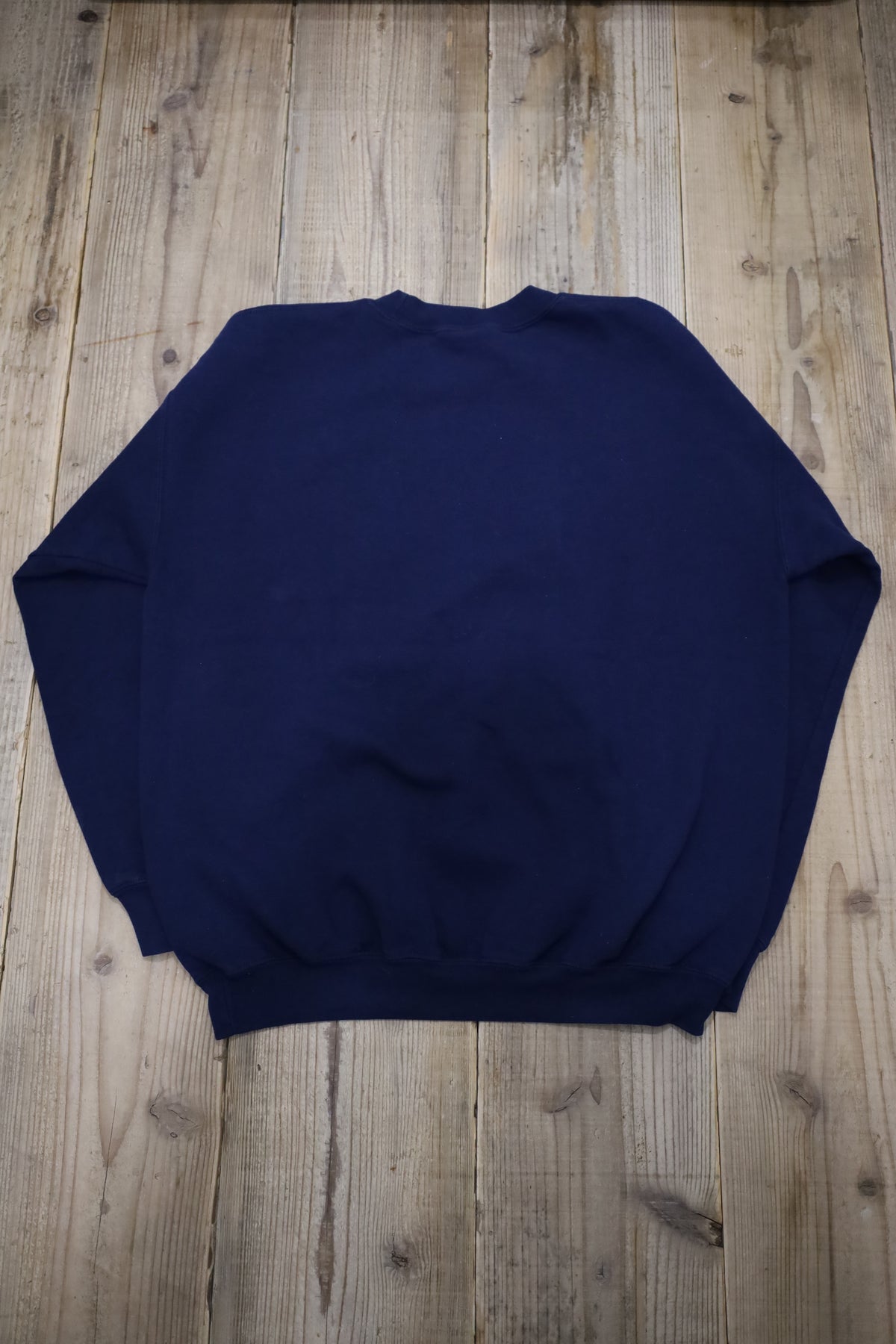 E301 / early2000's GILDAN MICHIGAN sweat