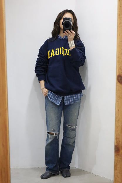 E301 / early2000's GILDAN MICHIGAN sweat
