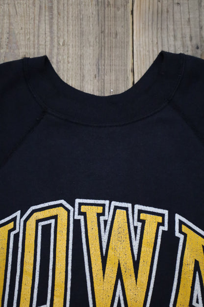 D332 / 1980's Tultex IOWA print sweat