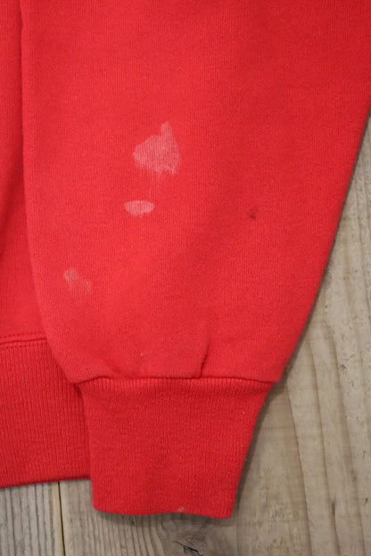 D323 / 1990's HANES print sweat