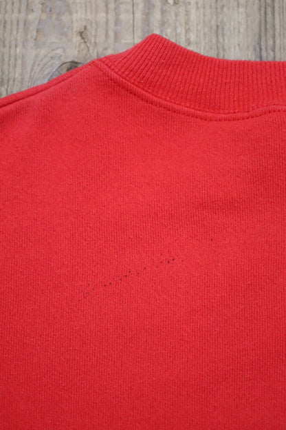 D323 / 1990's HANES print sweat