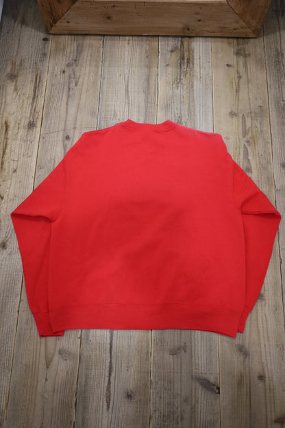 D323 / 1990's HANES print sweat